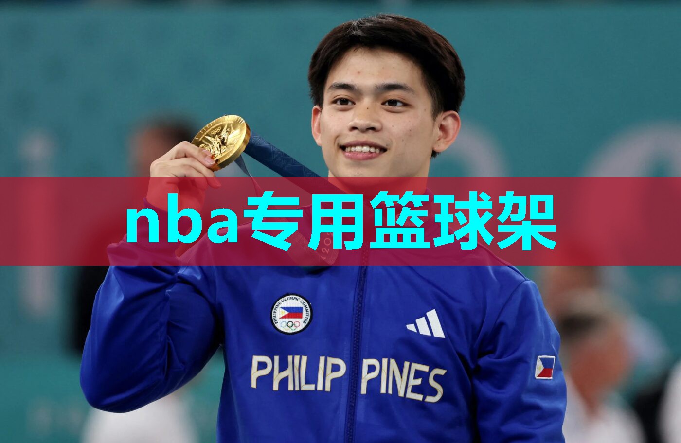 nba专用篮球架